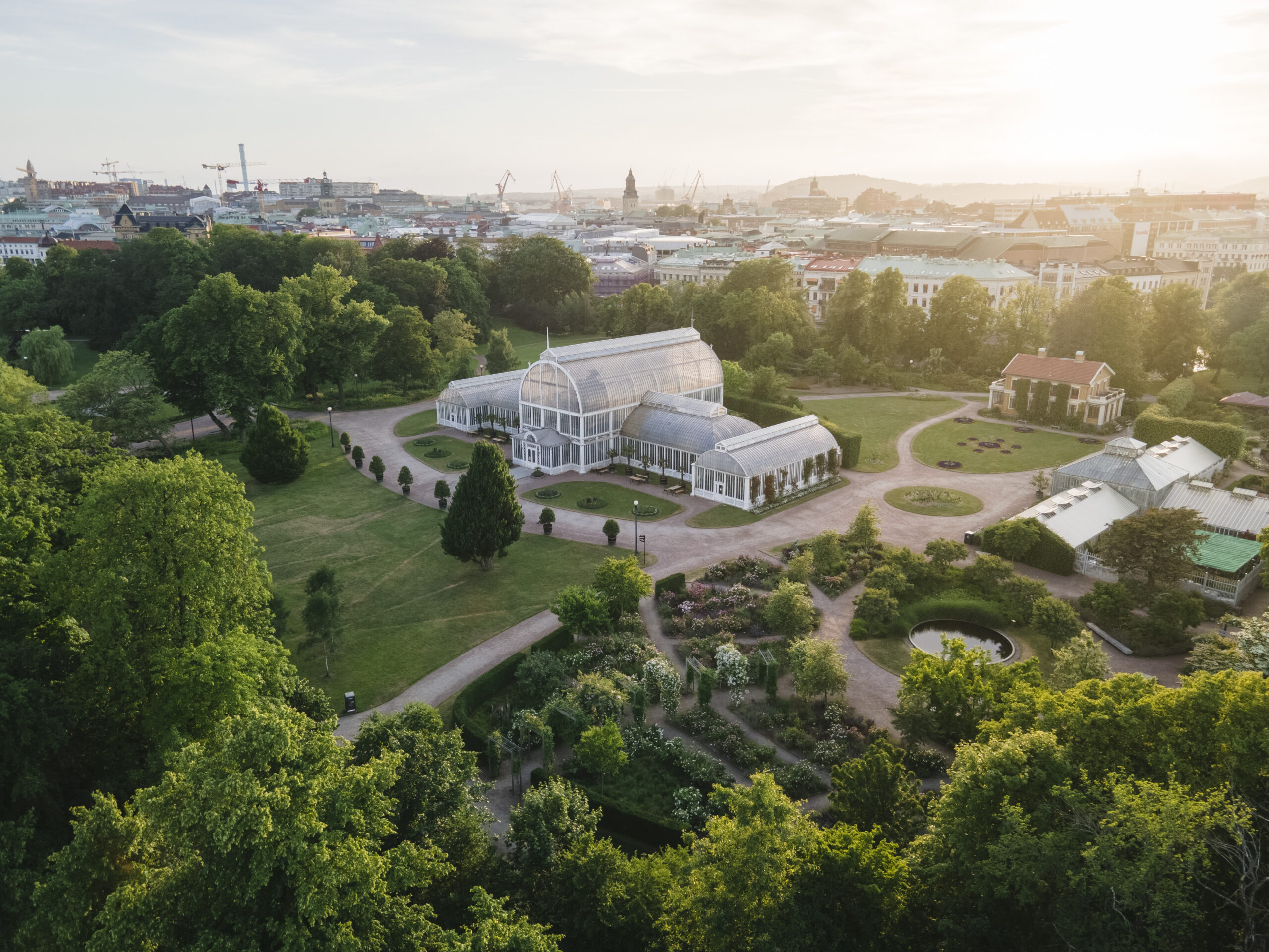 Trädgårdsföreningen i Göteborg